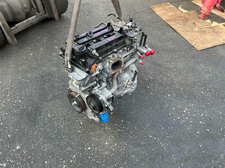 Двигатель Хонда Степвагон в Магадане 241069