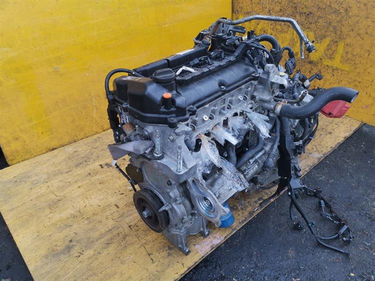 Двигатель Хонда Грейс в Магадане 43549