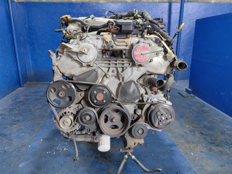 Двигатель Ниссан Эльгранд в Магадане 437558