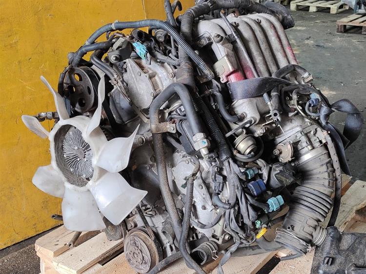 Двигатель Ниссан Эльгранд в Магадане 51254