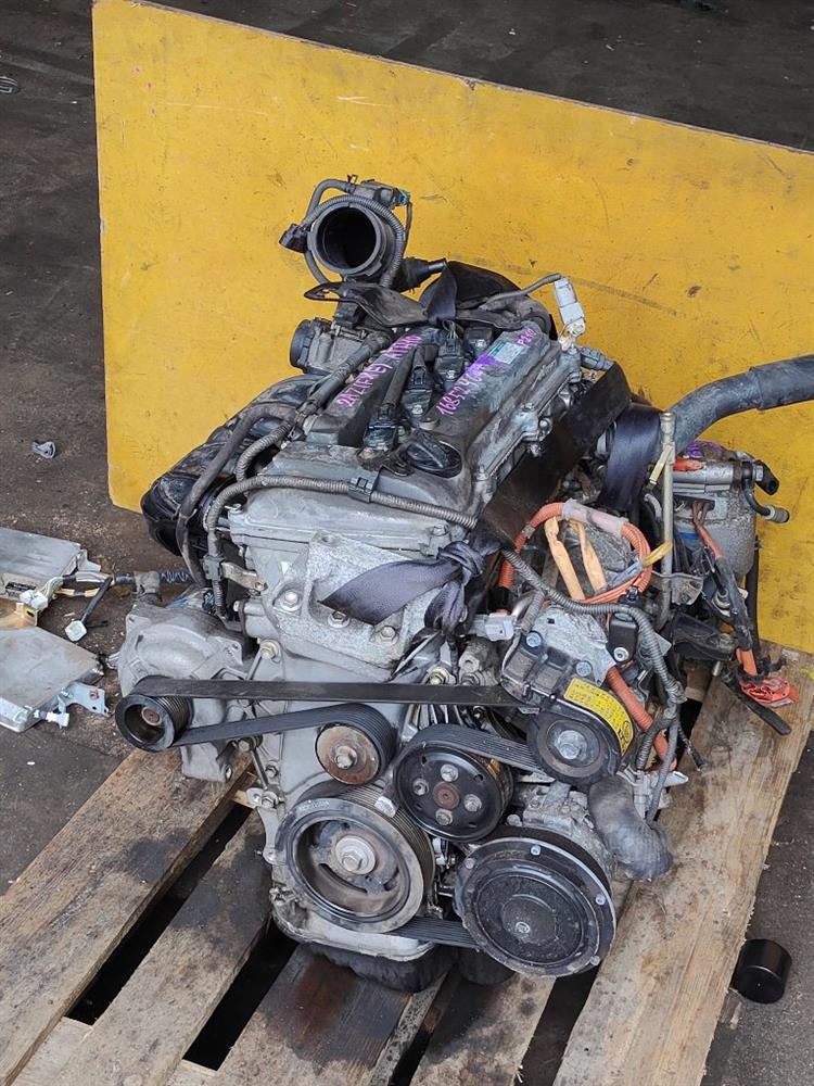 Двигатель Тойота Альфард в Магадане 644931