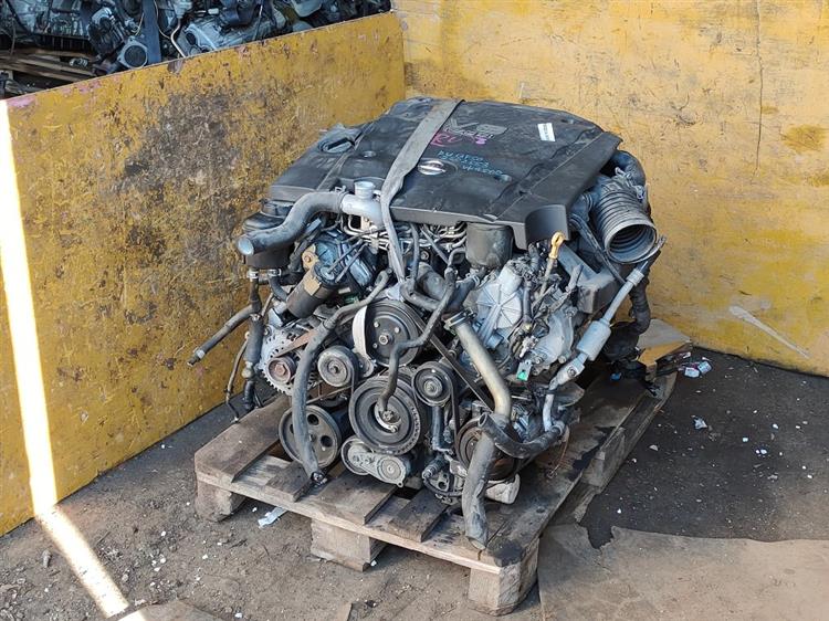 Двигатель Ниссан Сима в Магадане 68070
