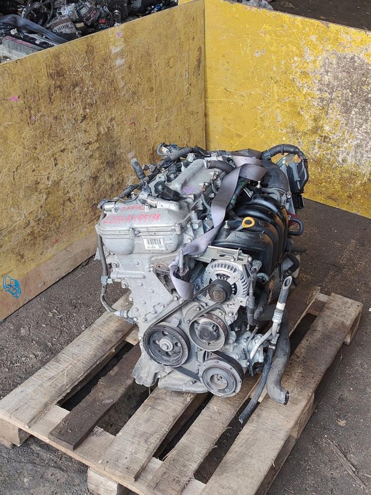 Двигатель Тойота Королла Румион в Магадане 69662